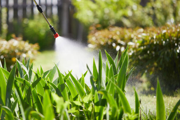 24/7 Emergency Wasp Removal experts in Castalia, OH